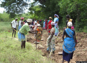 NREGA Job Card List 2025