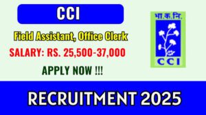 CCI recruitment 2025